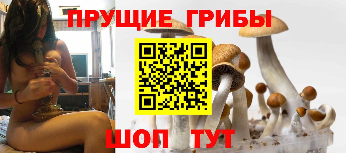 Галлюциногенные грибы Magic Shrooms Ижевск